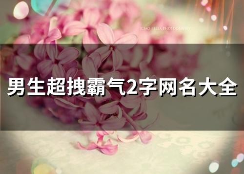 男生超拽霸气2字网名大全(100个) 男生超拽霸气2字网名大全(100个)