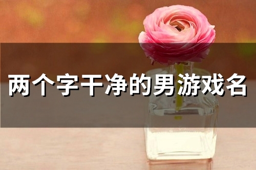 两个字干净的男游戏名(125个) 两个字干净的男游戏名(125个)