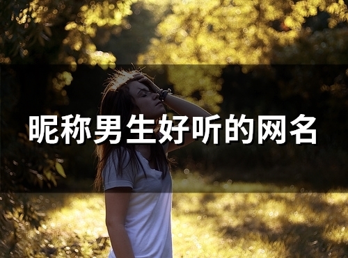 昵称男生好听的网名(145个) 昵称男生好听的网名(145个)