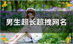 男生超长超拽网名(91个)