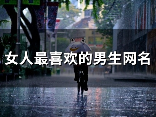 女人最喜欢的男生网名(精选109个)