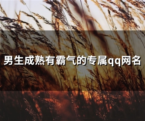 男生成熟有霸气的专属qq网名(147个) 男生成熟有霸气的专属qq网名(147个)