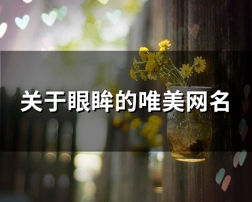 关于眼眸的唯美网名(精选123个)