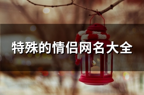 特殊的情侣网名大全(精选131个) 特殊的情侣网名大全(精选131个)
