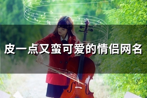 皮一点又蛮可爱的情侣网名(97个)