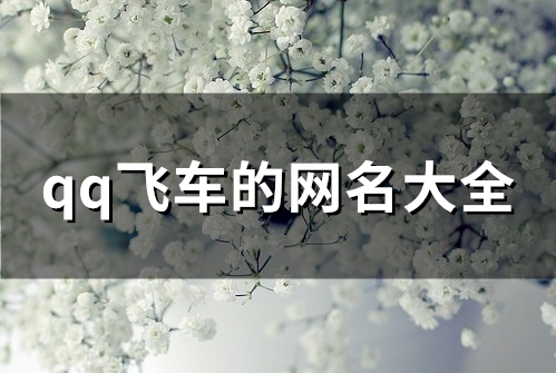 qq飞车的网名大全(147个) qq飞车的网名大全(147个)