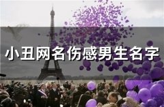 小丑网名伤感男生名字(82个)