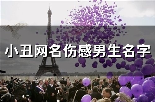 小丑网名伤感男生名字(82个) 小丑网名伤感男生名字(82个)