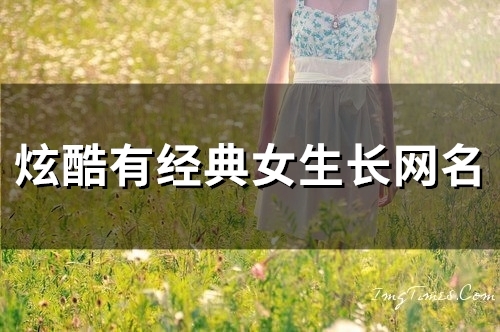 炫酷有经典女生长网名(104个) 炫酷有经典女生长网名(104个)