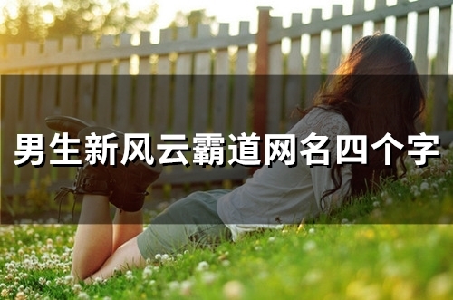 男生新风云霸道网名四个字(精选80个)
