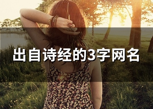 出自诗经的3字网名(101个)