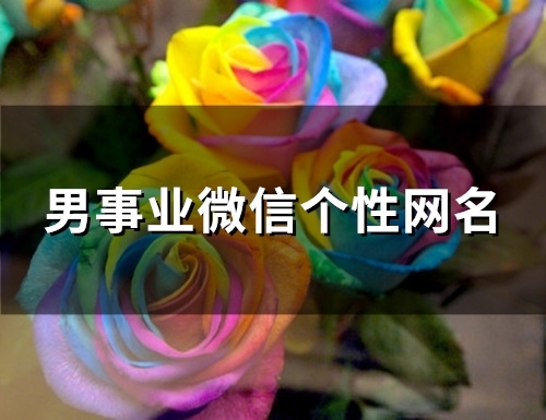 男事业微信个性网名(精选141个)