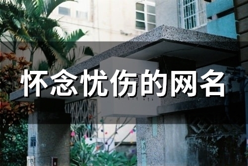 怀念忧伤的网名(精选114个)