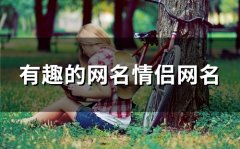 有趣的网名情侣网名(精选95个)