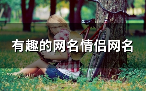 有趣的网名情侣网名(精选95个)