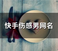 快手伤感男网名(147个)