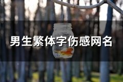 男生繁体字伤感网名(精选81个)