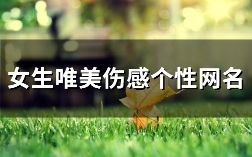 女生唯美伤感个性网名(138个) 女生唯美伤感个性网名(138个)