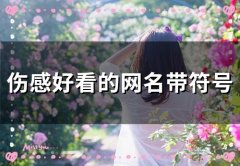 伤感好看的网名带符号(113个)