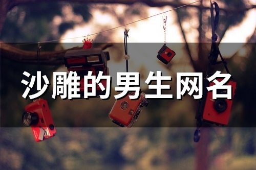 沙雕的男生网名(99个)