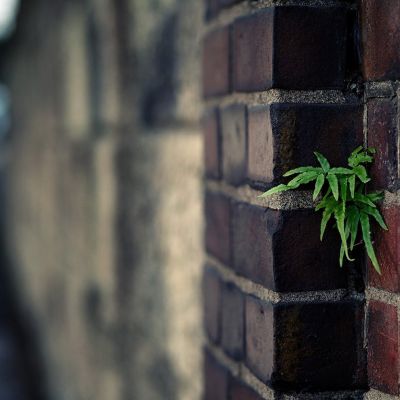 高清好看的唯美小清新静物图片微信头像(14张)