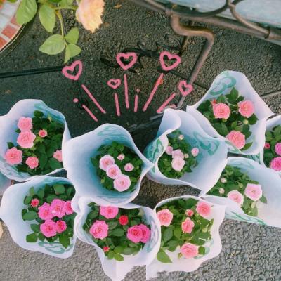 最好看鲜花的微信头像图片(21张)