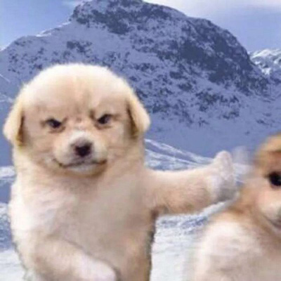 搞笑情侣头像一左一右图片(16张)