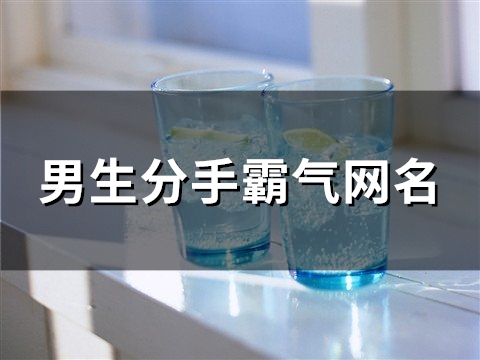 男生分手霸气网名(精选112个) 男生分手霸气网名(精选112个)