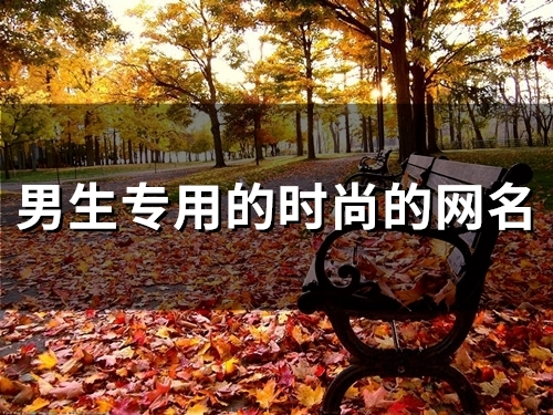 男生专用的时尚的网名(148个)