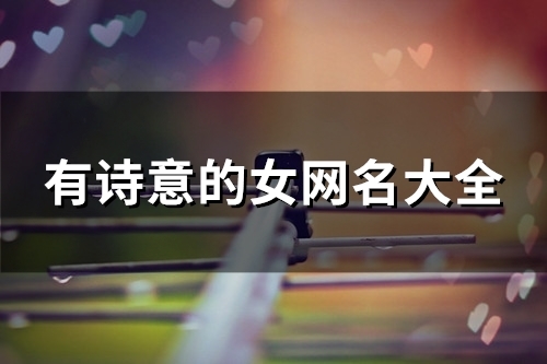 有诗意的女网名大全(104个)