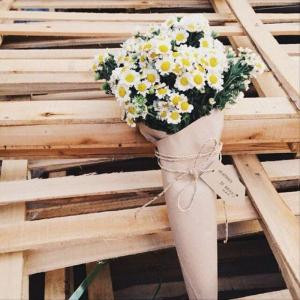 微信头像简单大方淡雅(12张)