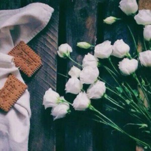 微信头像简单大方淡雅(12张)