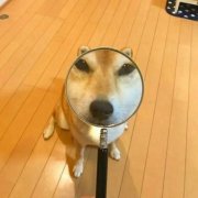 恶搞的情侣头像一对两张图片(22张)