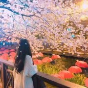 仙气飘飘的女生背影头像(精选22张)