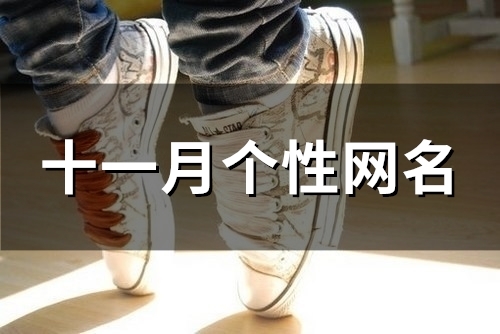 十一月个性网名(精选113个)