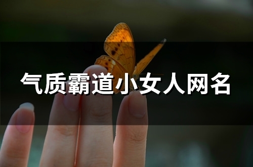 气质霸道小女人网名(115个)