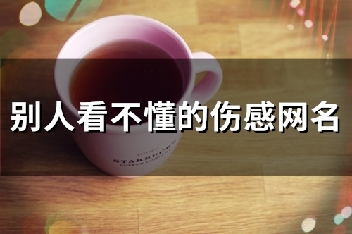 别人看不懂的伤感网名(精选118个) 别人看不懂的伤感网名(精选118个)