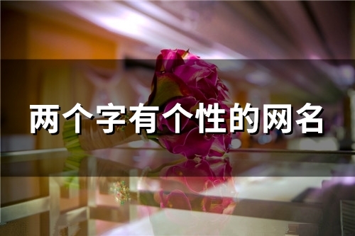 两个字有个性的网名(139个) 两个字有个性的网名(139个)