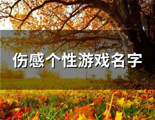 伤感个性游戏名字(94个) 伤感个性游戏名字(94个)