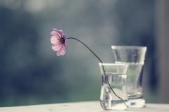 适合做微商的微信网名(112个)