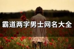 霸道两字男士网名大全(精选138个)
