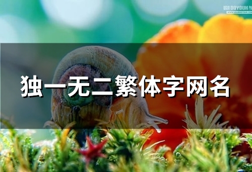 独一无二繁体字网名(82个) 独一无二繁体字网名(82个)