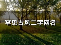 罕见古风二字网名(精选134个)