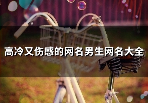 高冷又伤感的网名男生网名大全(86个) 高冷又伤感的网名男生网名大全(86个)