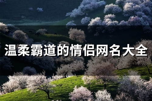 温柔霸道的情侣网名大全(110个) 温柔霸道的情侣网名大全(110个)