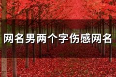 网名男两个字伤感网名(精选98个)