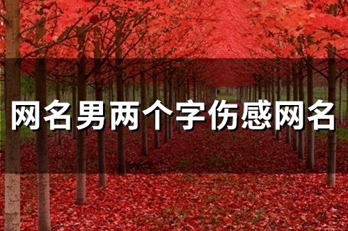 网名男两个字伤感网名(精选98个)
