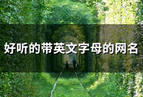 好听的带英文字母的网名(100个)