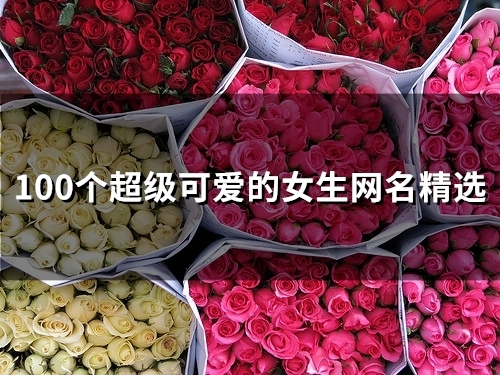 100个超级可爱的女生网名精选(200个) 100个超级可爱的女生网名精选(200个)