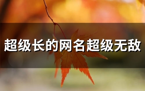 超级长的网名超级无敌(137个)